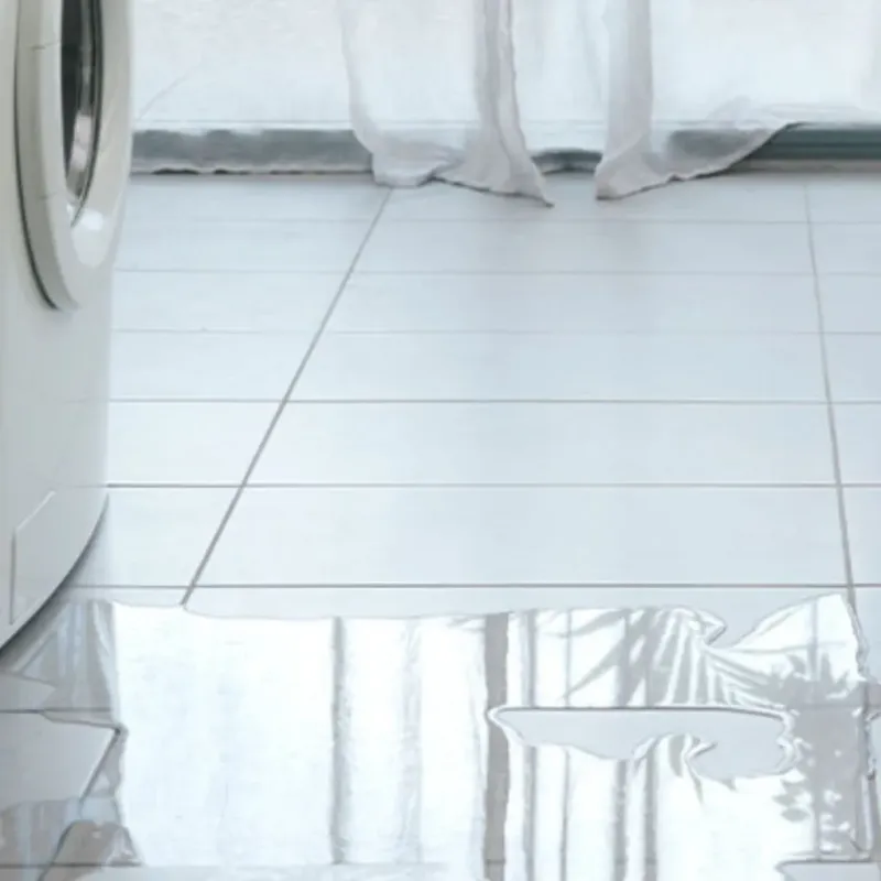 Appliance Leak Cleanup in Belton, MO