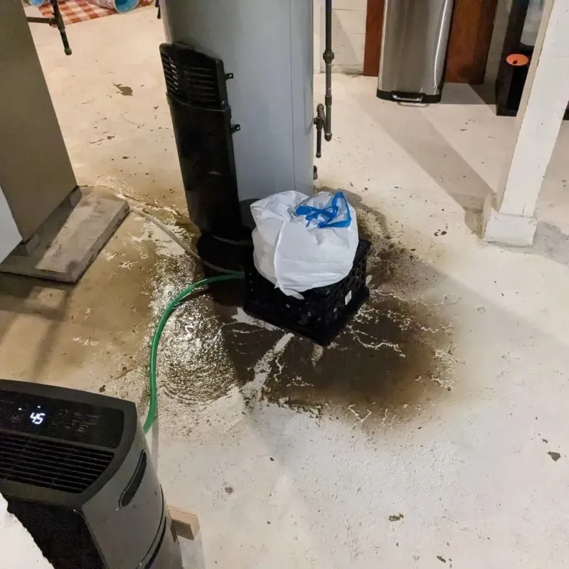 Sewage Backup Cleanup Service in Belton, MO
